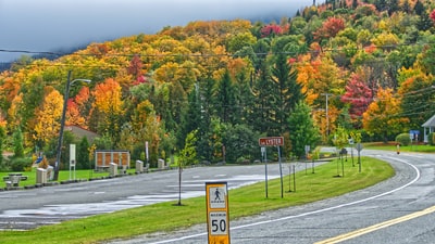 黄色、橙色和绿叶树木附近的灰色道路